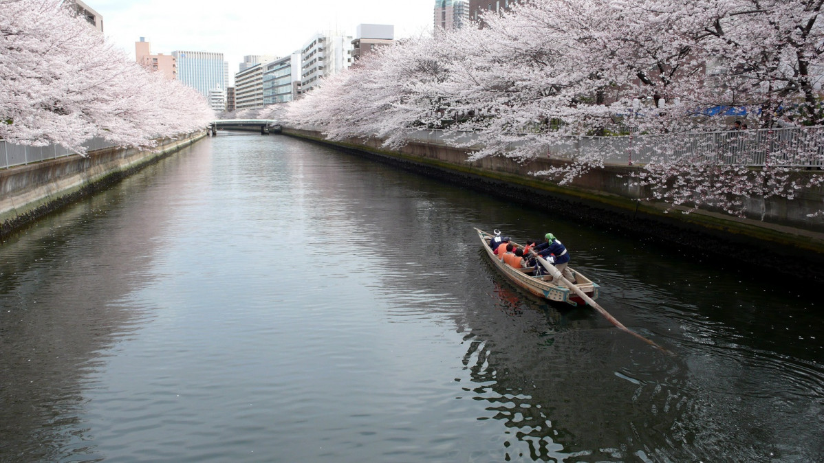 Tokyo, Oyokogawa River 2018 1551