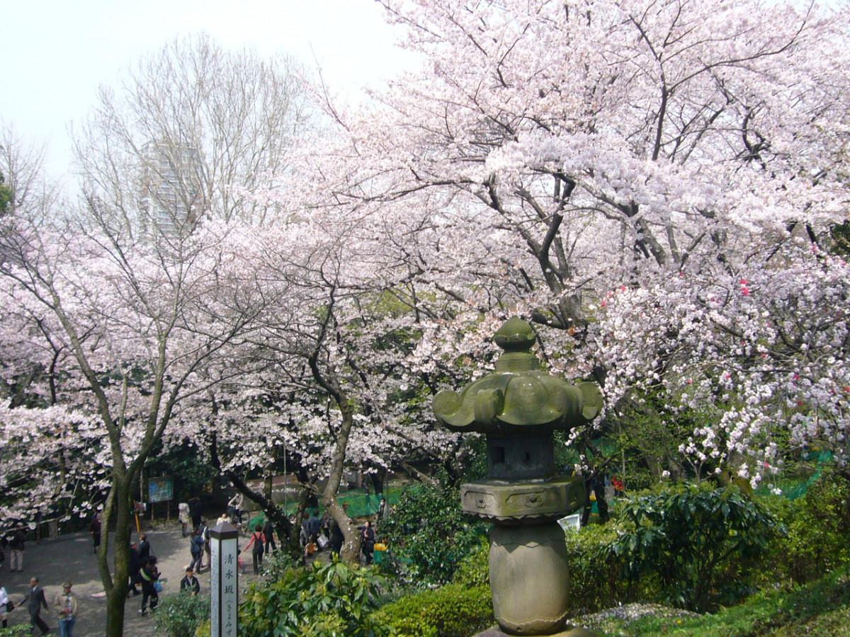 Tokio Parque Ueno