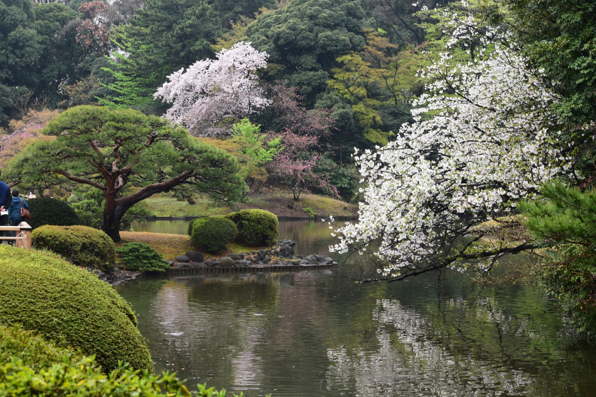 Tokio Shinjuku Imperial Garden 1500