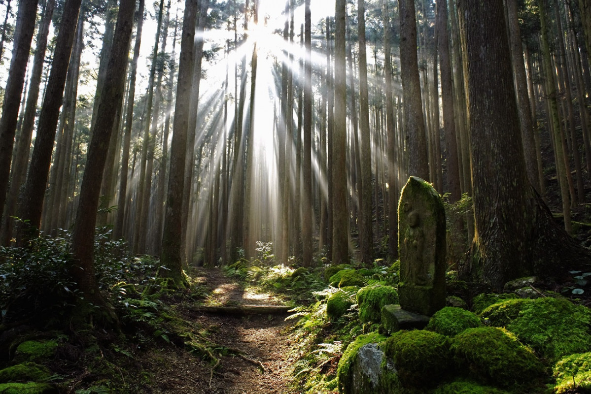 Kumano Kodo