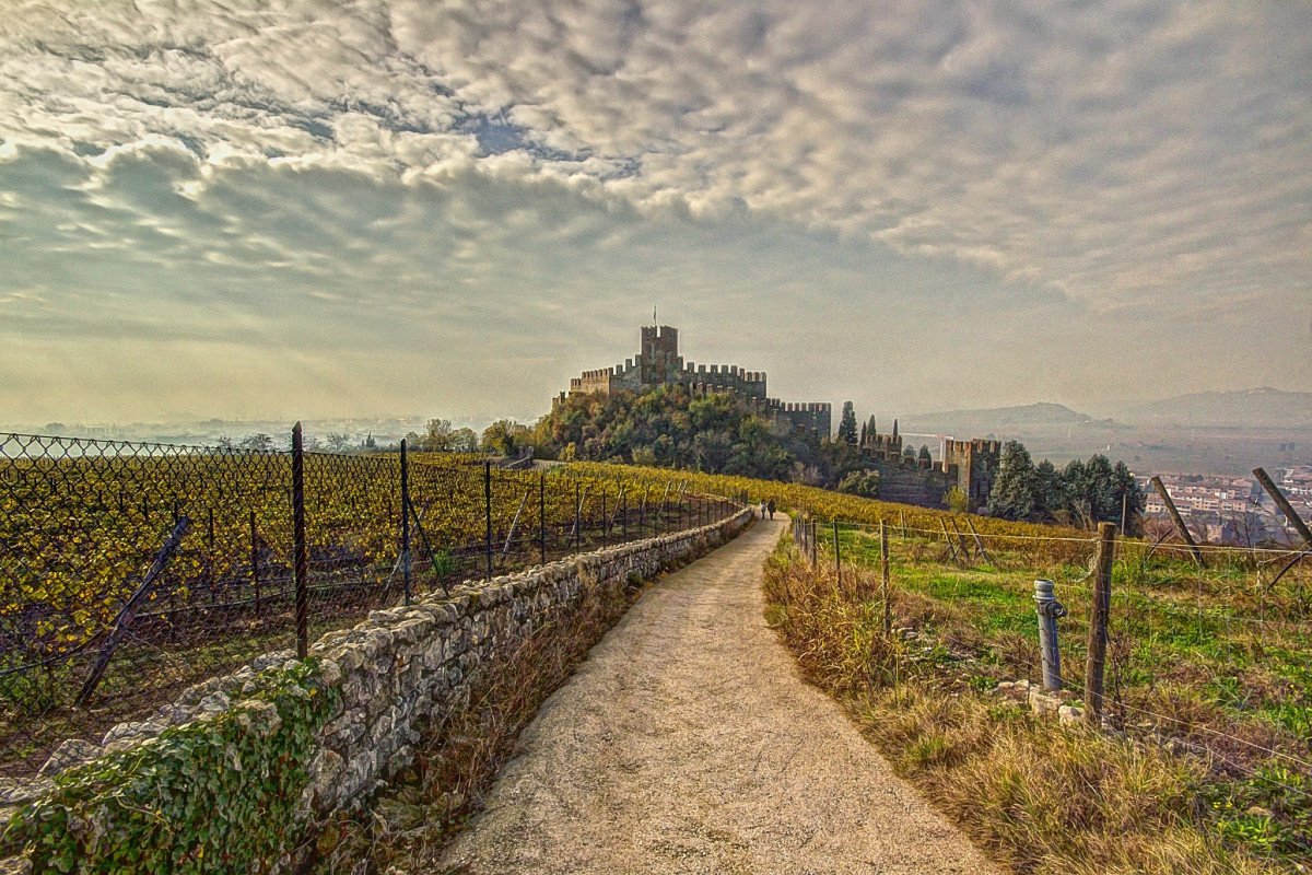 Castello di Soave sorge sul Monte Tenda. Viu00f1edos de Soave. Italia 1500 2014