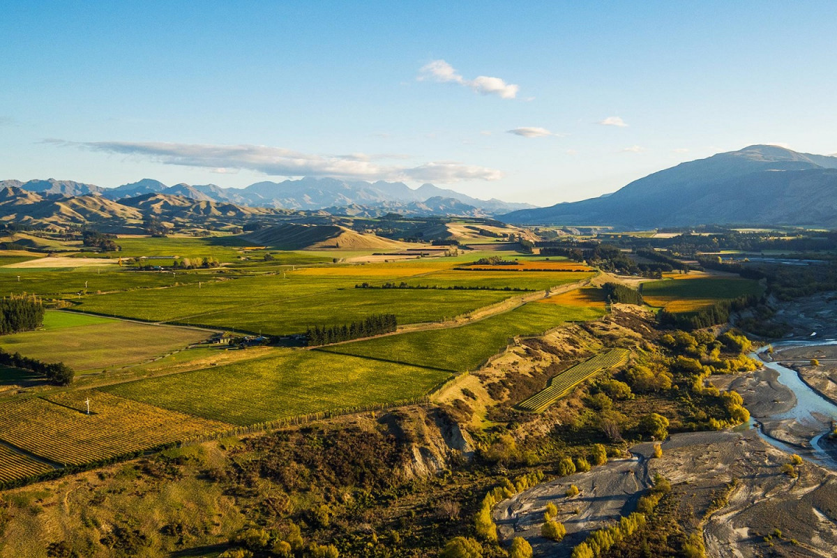 Nueva Zelanda Vineyard 1500