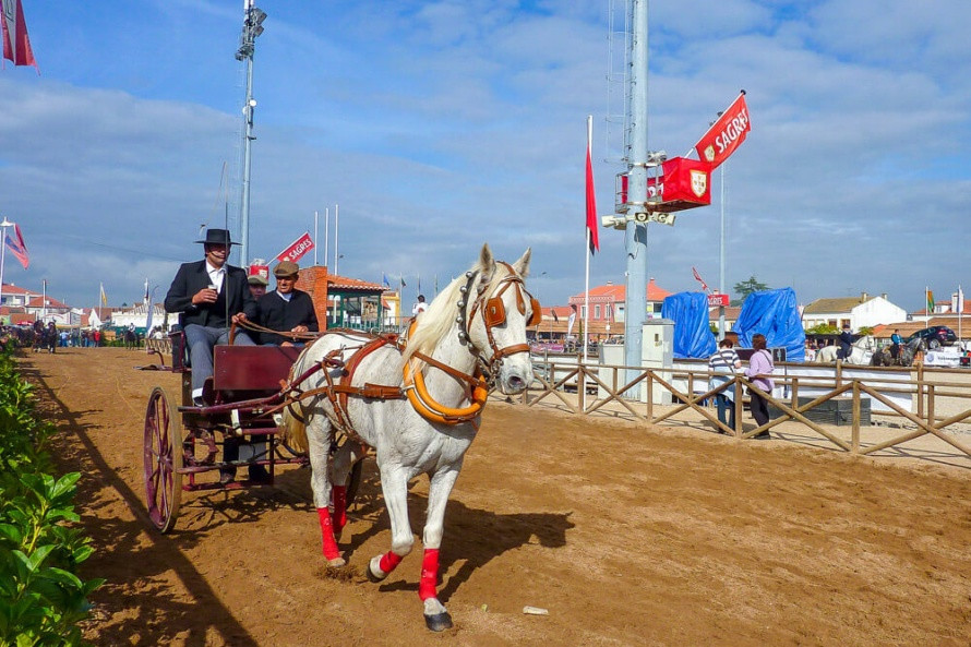 Portugal alcainca dressage riding golega blog equus journeys 1