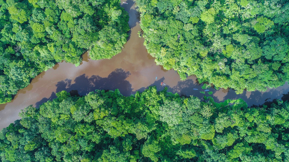 Costa Rica Tortuguero 1500