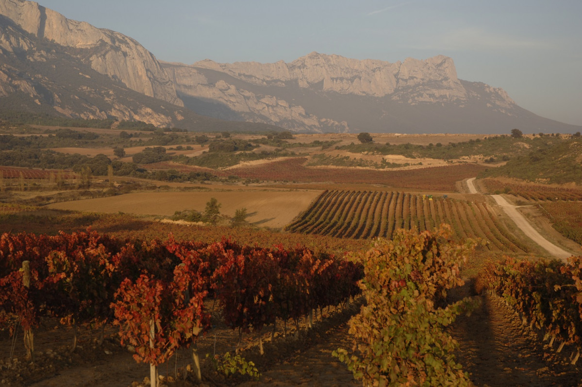 Rioja Alavesa QF06297  1500