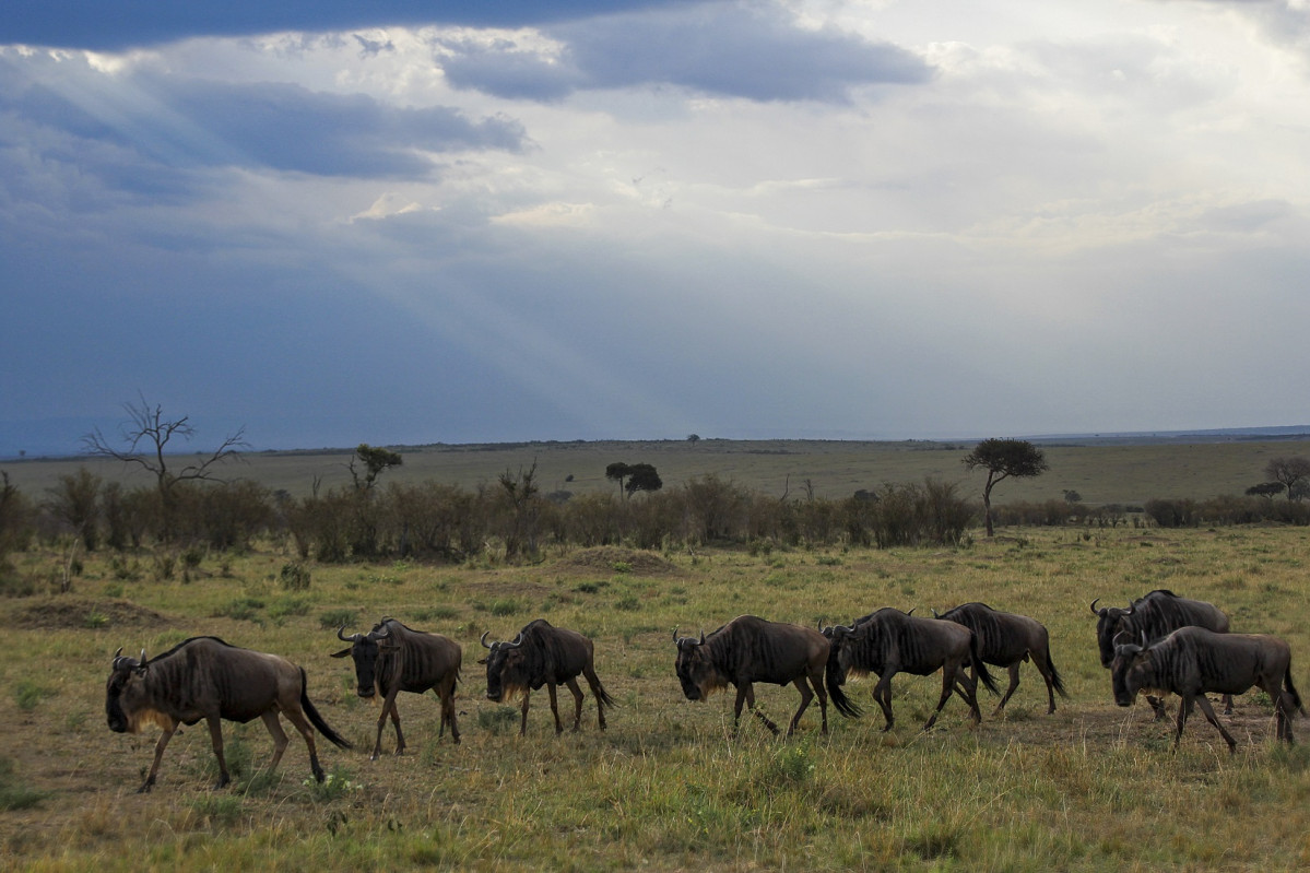 Kenia 2019, 1600