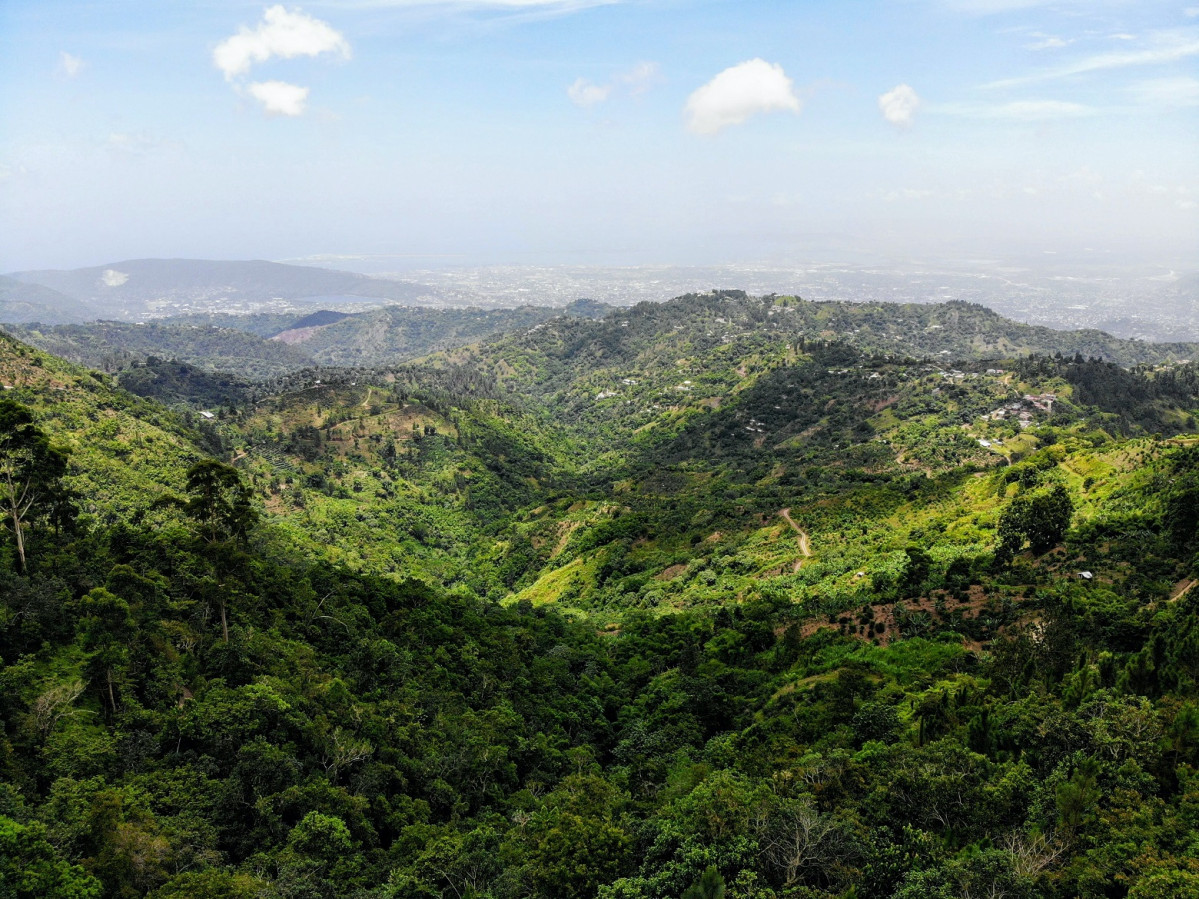 Blue Montains, Jamaica yves alarie BXk N2fPLYo unsplash