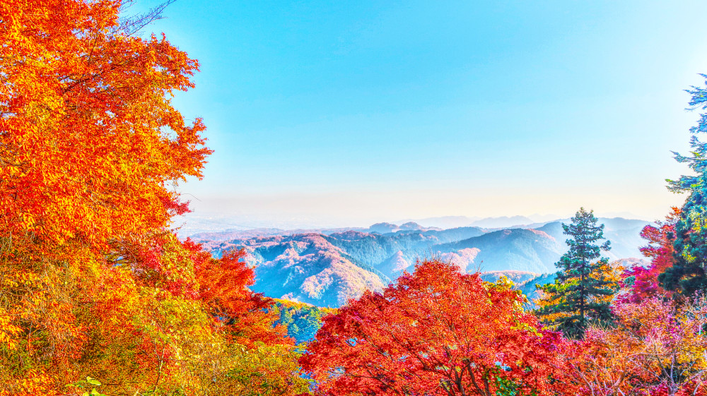 Mount Takao hiking japan fall foliage tokyo weekender