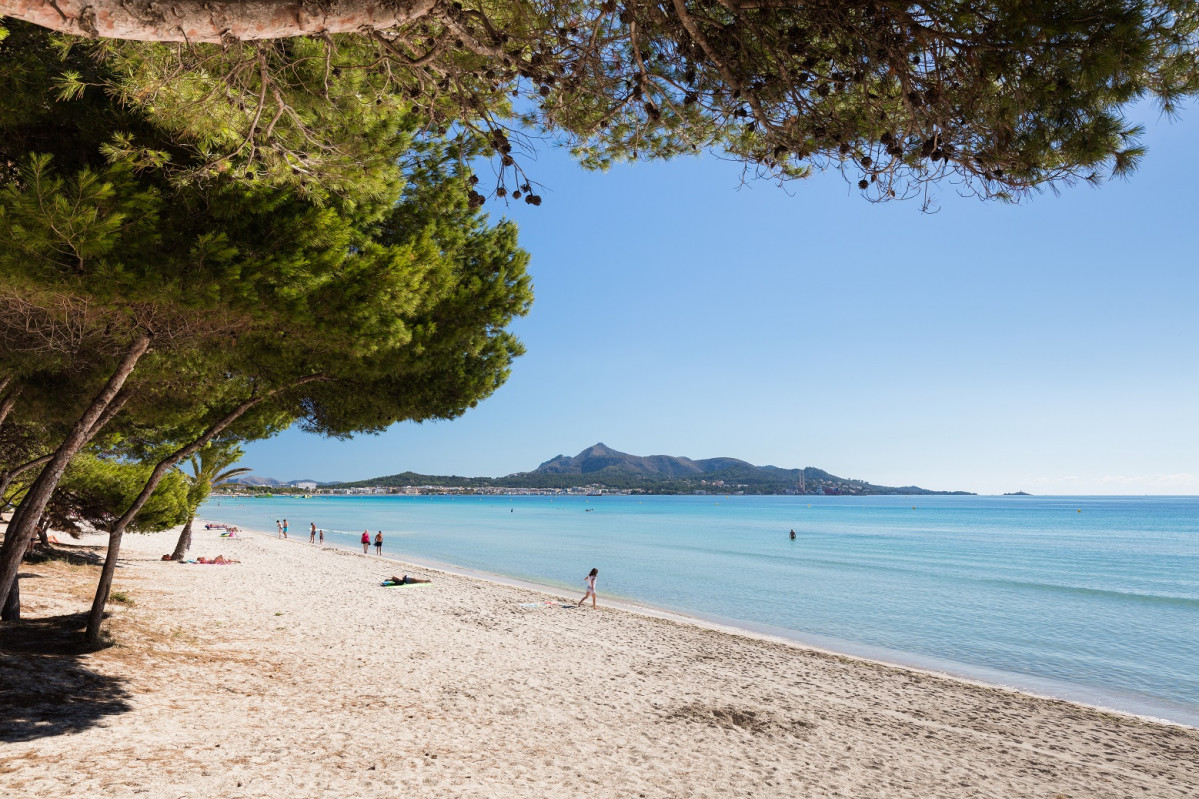 Mallorca, Playas de Alcu00fadia y Muro 1500