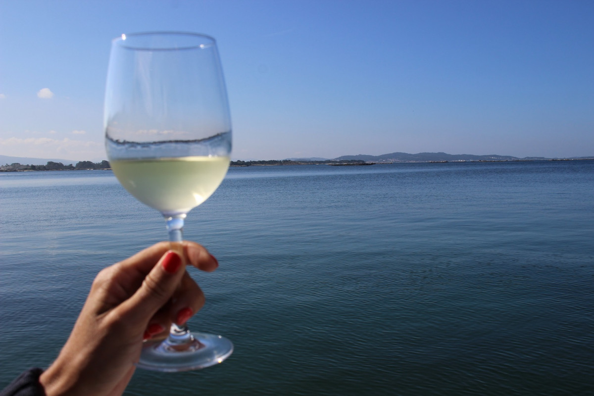 Rias Baixas vinito (2)