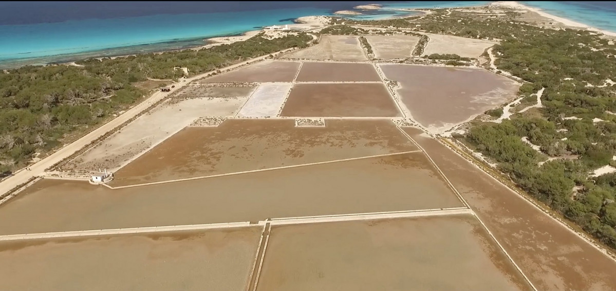 Formentera Salinas 1645