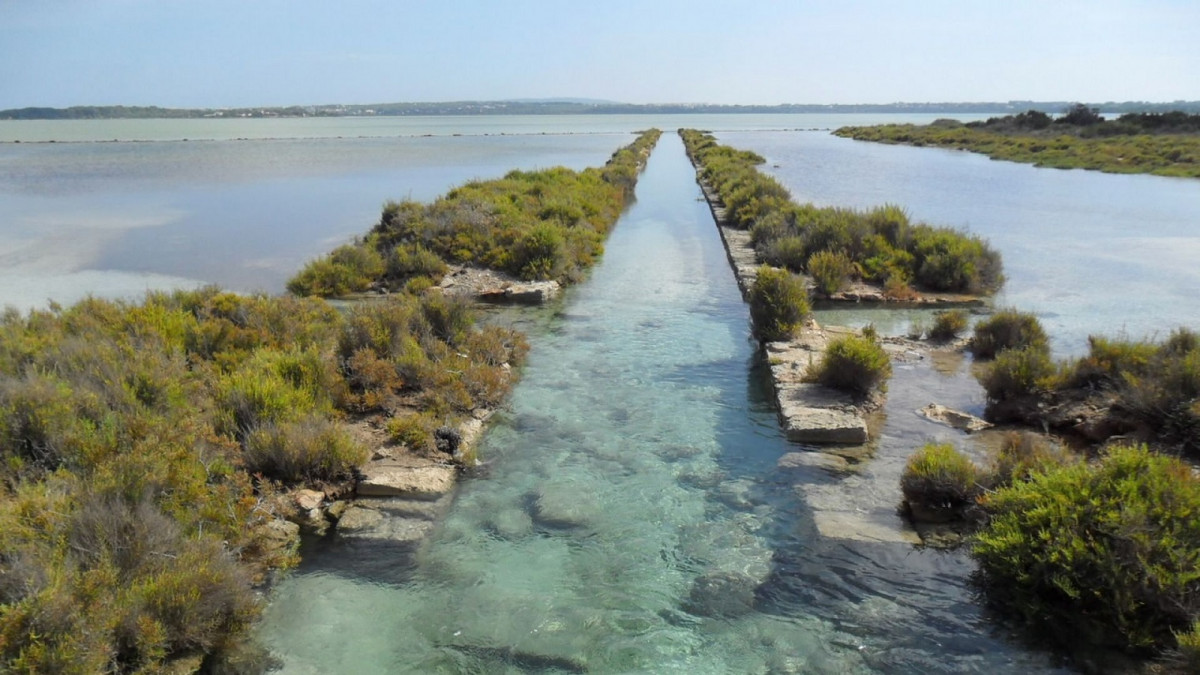Formentera area natural protegida lagunas del stany des peix 1520