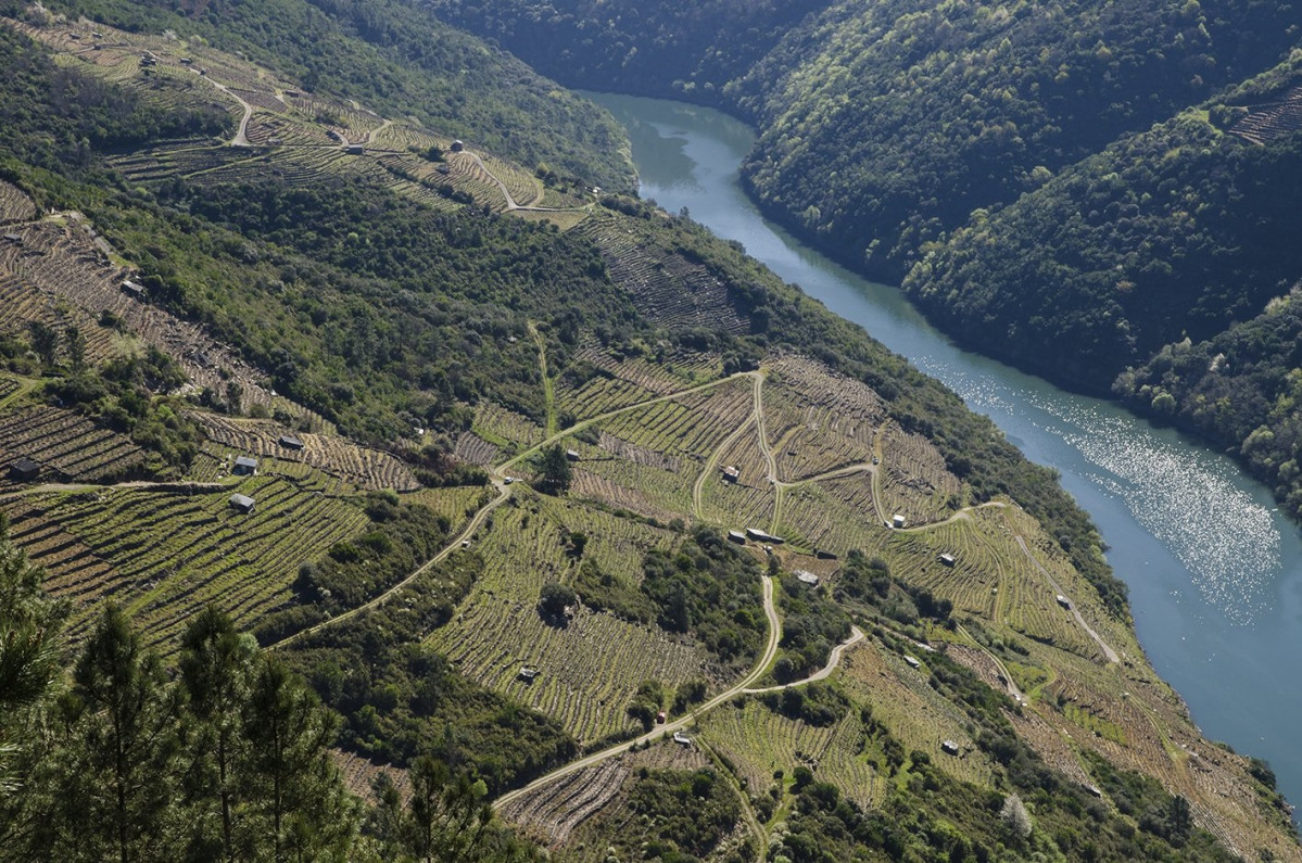 MIRADOIRO A CAPELA II, Ribeira Sacra, 1400 Pobra de Brollu00f3n