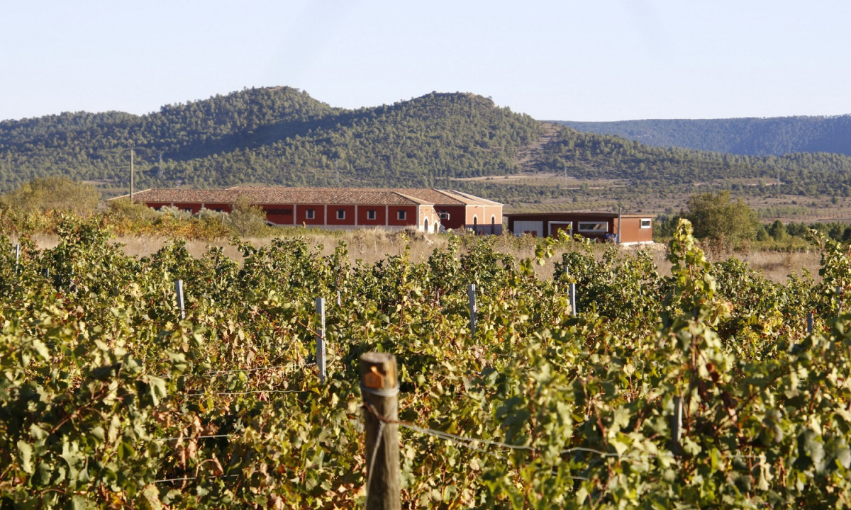 Altolando bodegas y viu00f1edos. 1500 mts de altitud