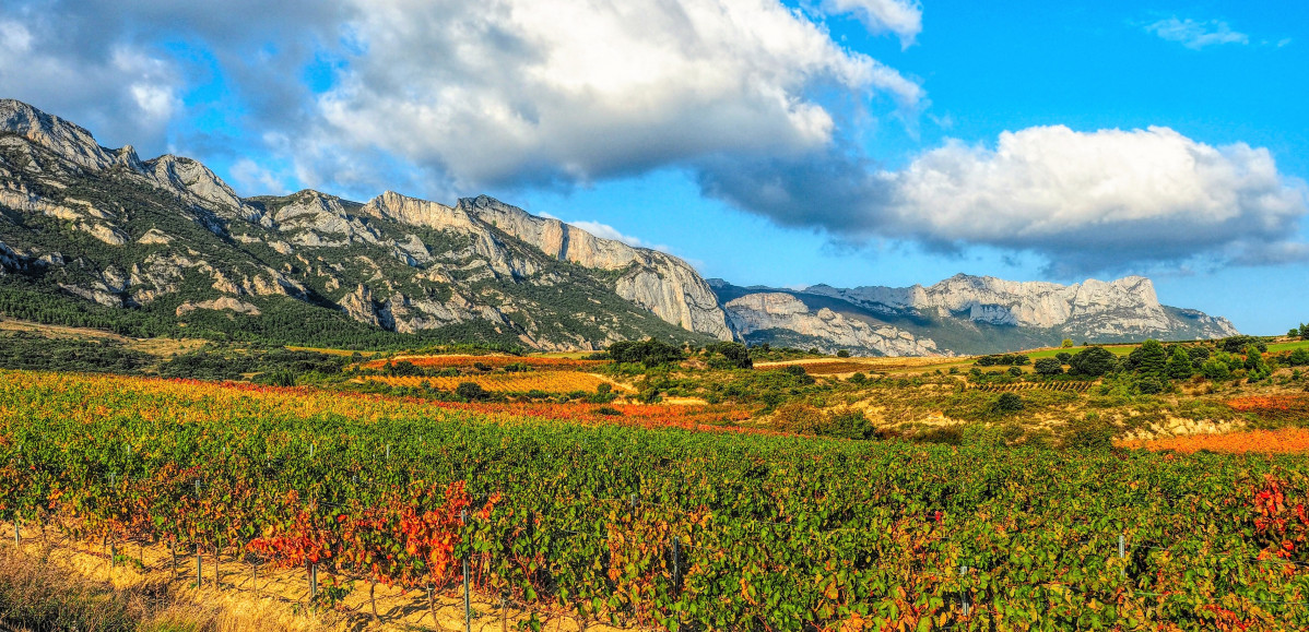 Sierra de Tolou00f1o Cantabria, al sur de Alava. Viu00f1edos 2018