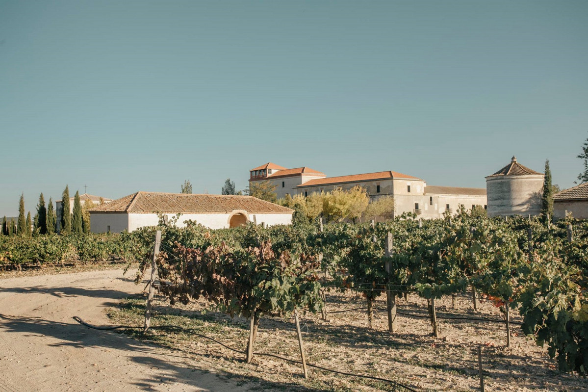 Finca La mejorada, de Olmedo