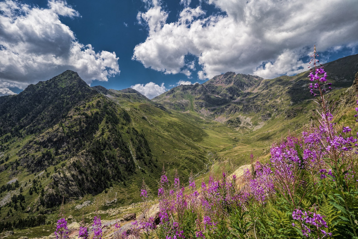 Andorra Valle de Sorteny, en Ordino