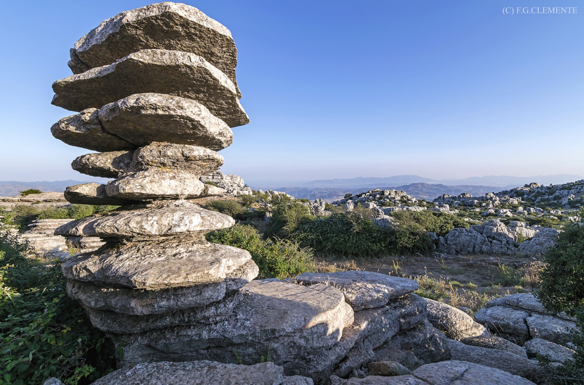 Torcal de Antequera, Tomillo, 1500 2019