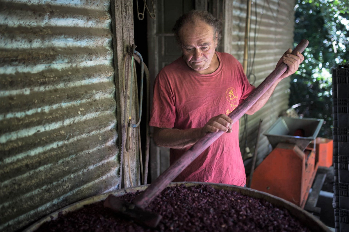 Renzo Ruscitti produce vino en la isla, al igual que lo hacu00eda su hermano Miguel. (2)
