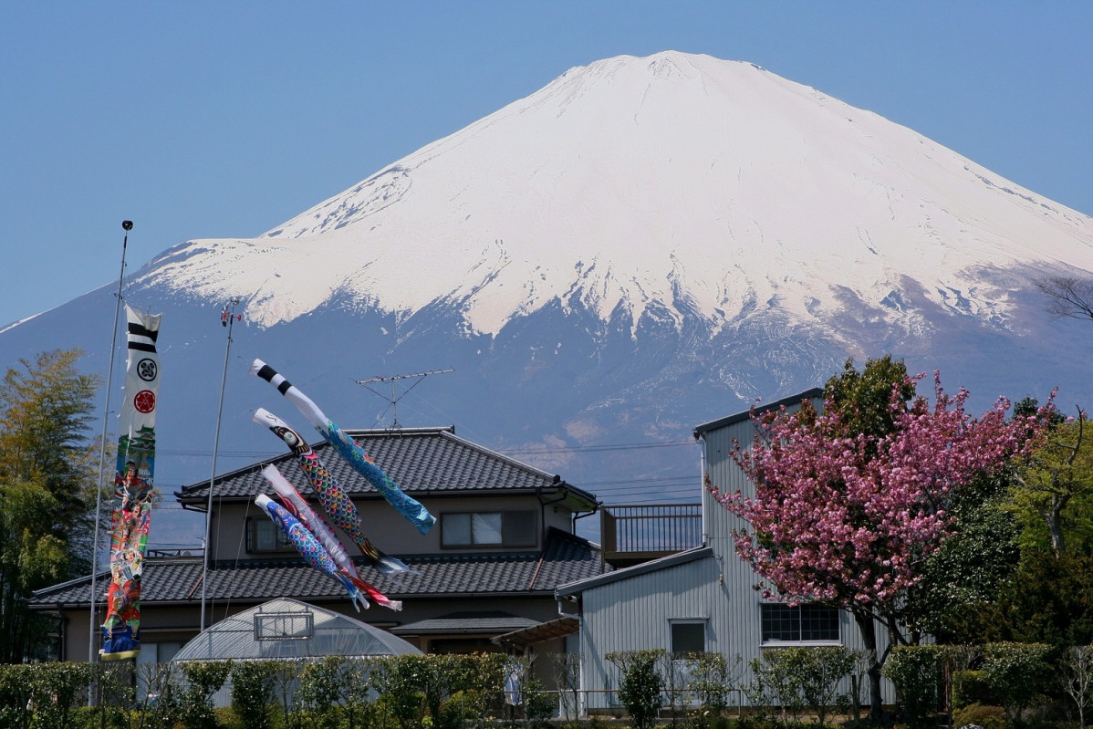 Koinobori Mt Fuji 1500