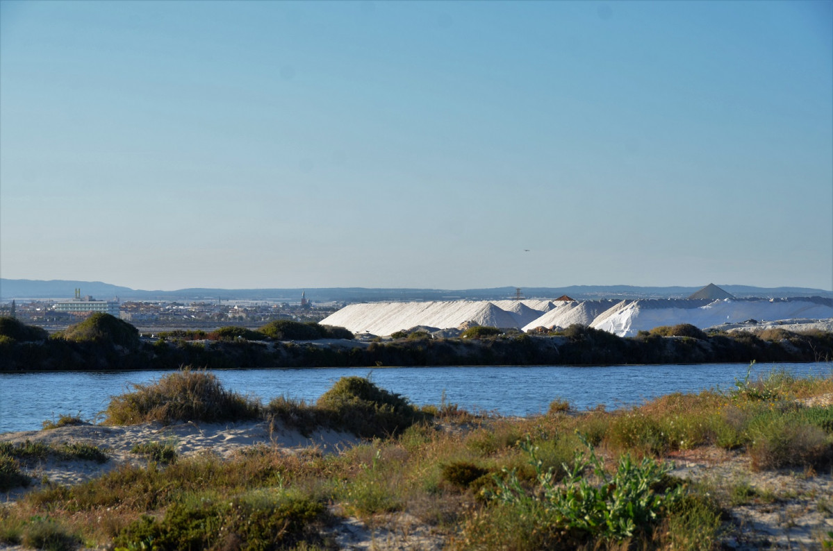 Murcia, Parque regional de Salinas y Arenales de San Pedro 19