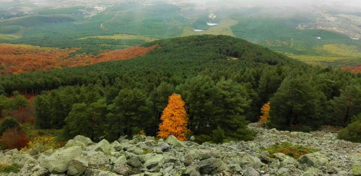 Vistas Moncayo 3