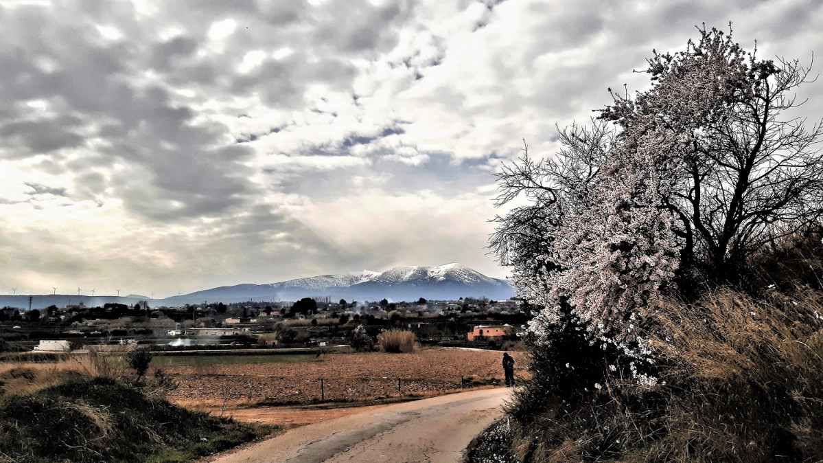 Tarzona, al fondo ek Moncayo 15