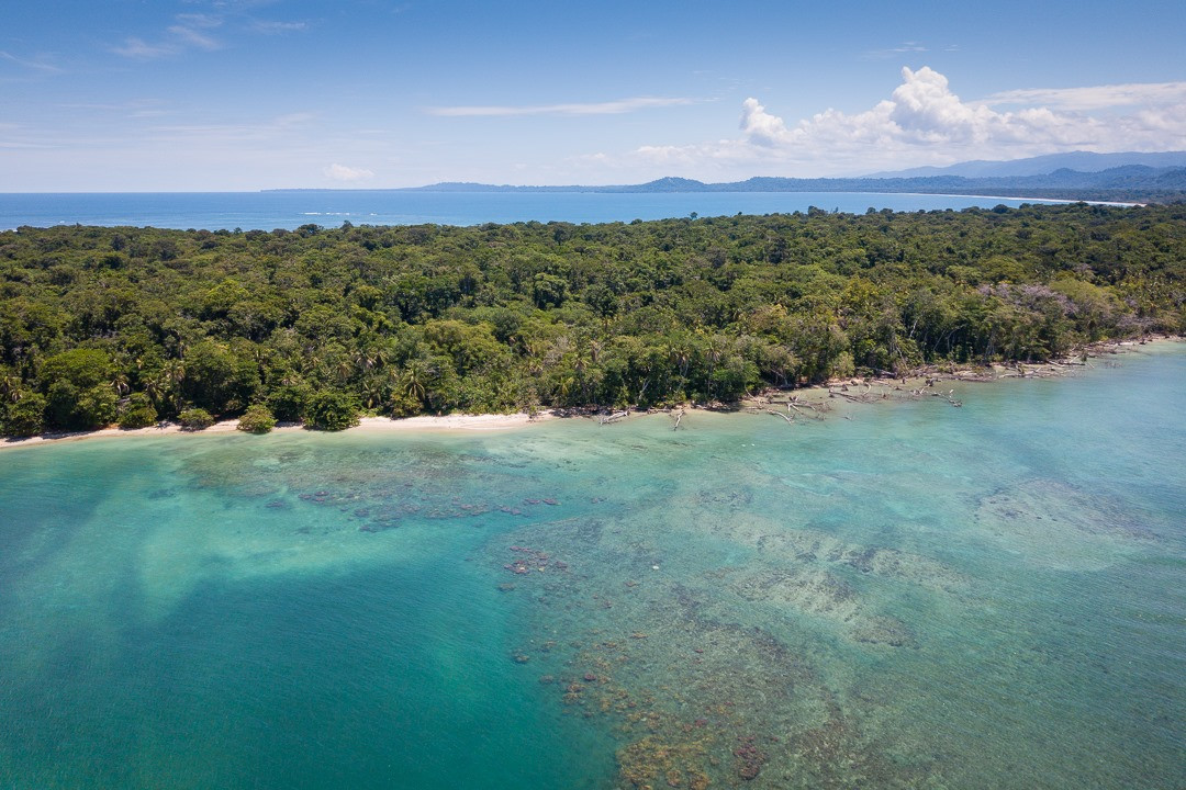 Costa Rica, Parque Nacional Cahuita la selva tropical costera alcanza la arena de las playas