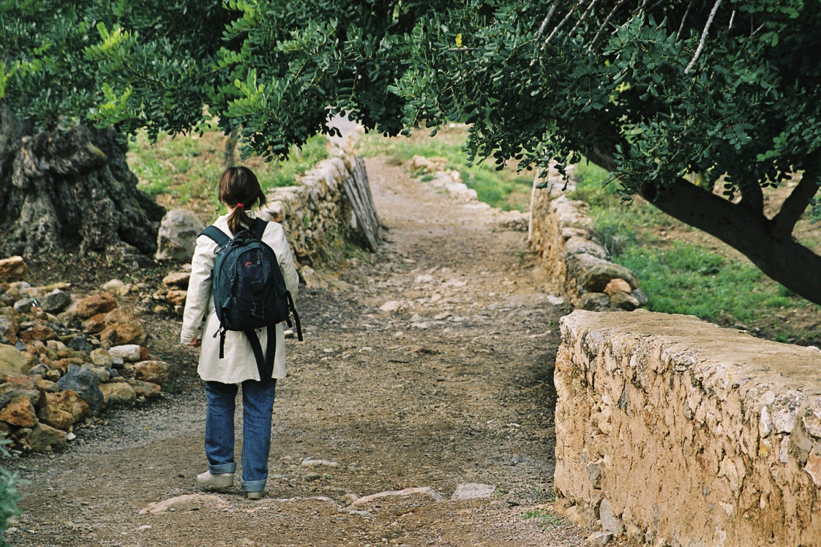 Ibiza cAMI DE PEDRES