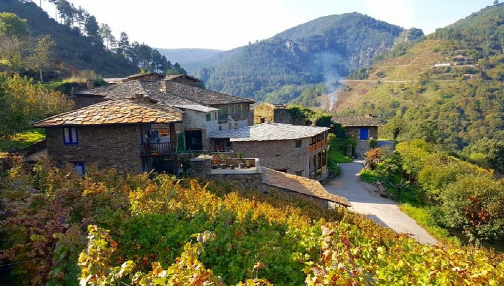 FINCA MILLARA