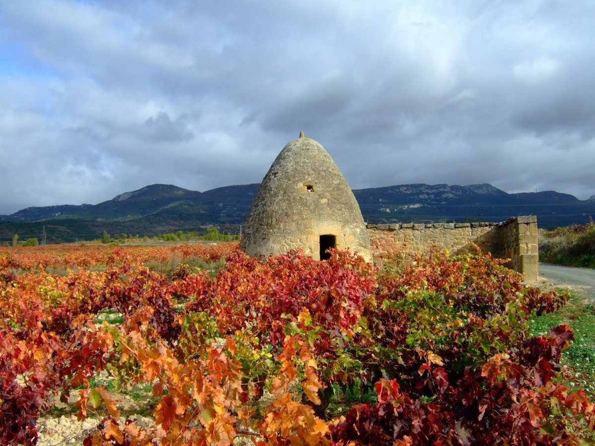 Viu00f1edos Bodegas Sonsierra