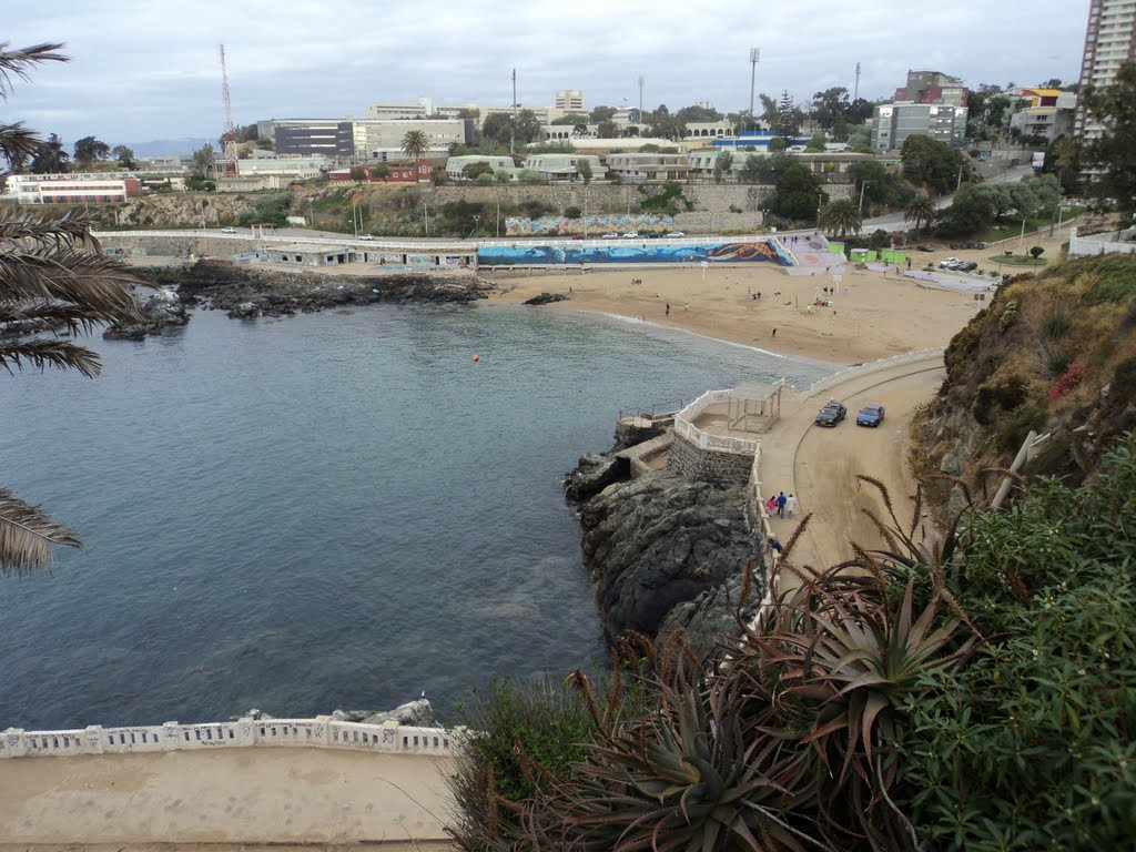 Playa las torpederas (1)