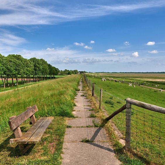 Paisaje de Frisia Oriental