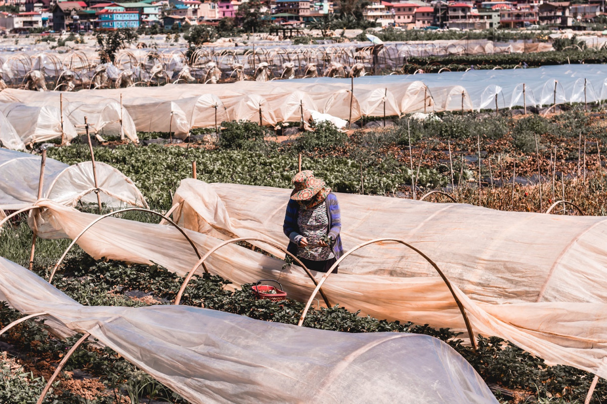 Benguet, Philippines nathaniel sison UfY4Ail9ypY unsplash