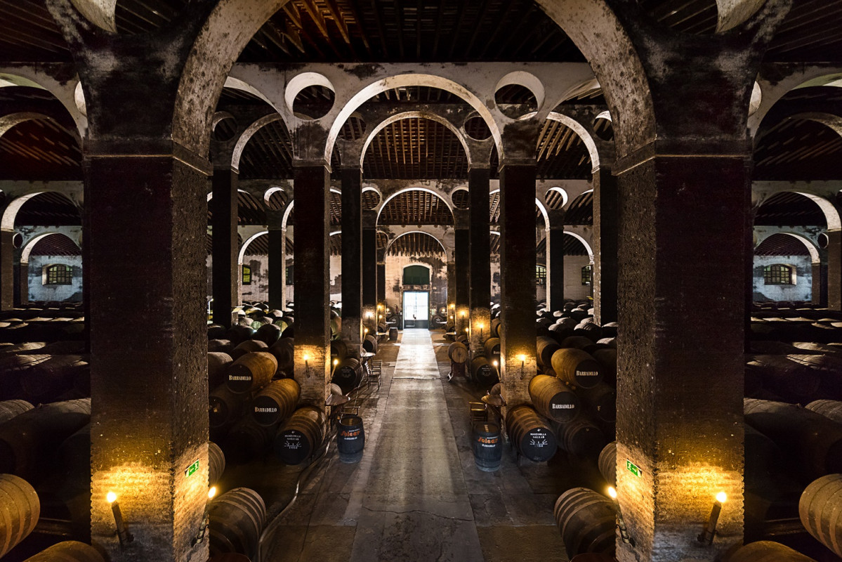 La catedral   Bodega La Arboledilla   Barbadillo (1)