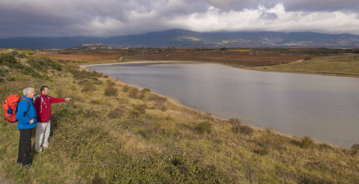 Camino Ignaciano