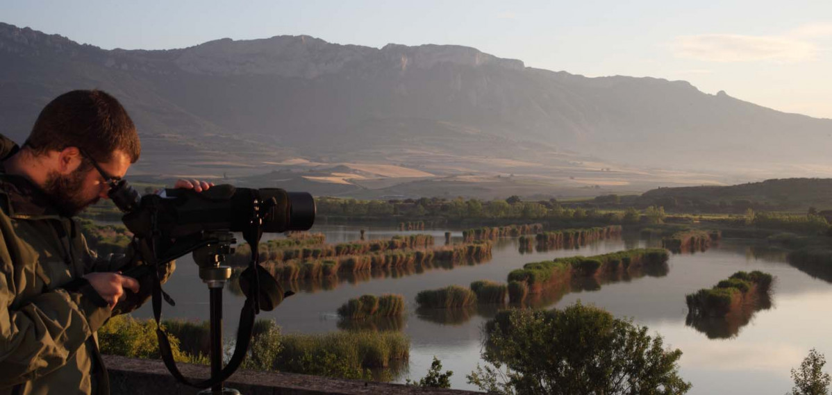 RIOJA Birding  MG 7377 QUINTAS