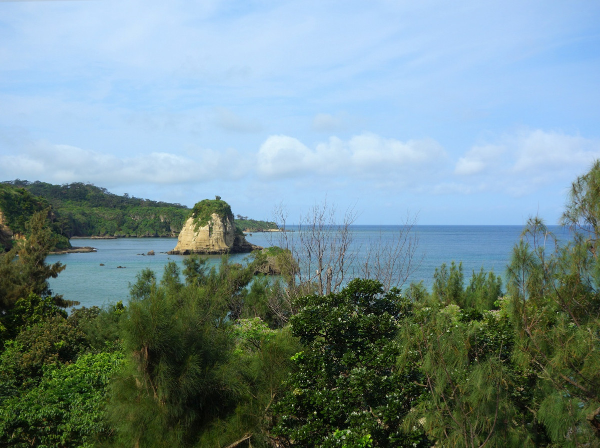 Iriomote Island. Japu00f3n