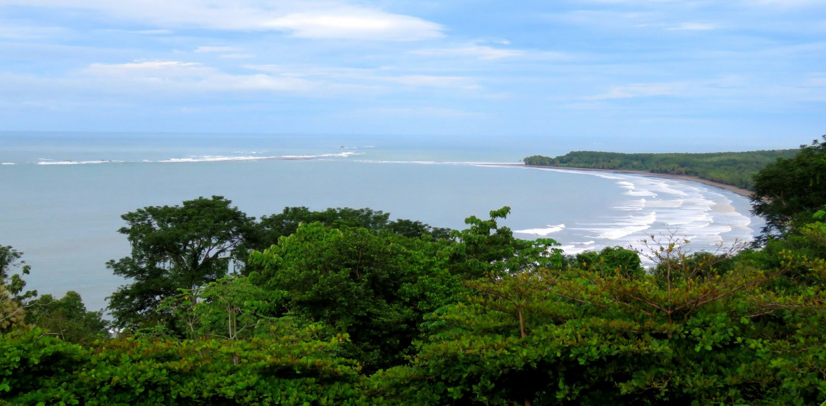 Bahia Ballena, Costa Rica 18