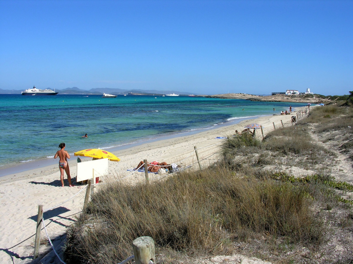 Formentera cavall borras