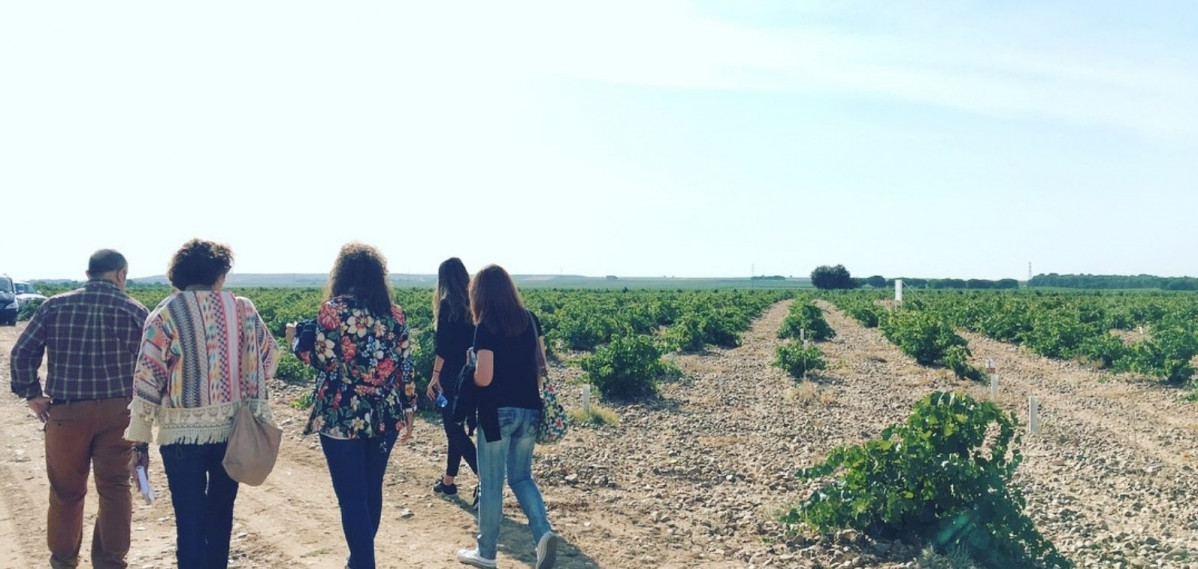 Enoturistas en los viu00f1edos de Verdejo de Bodega Javier Sanz