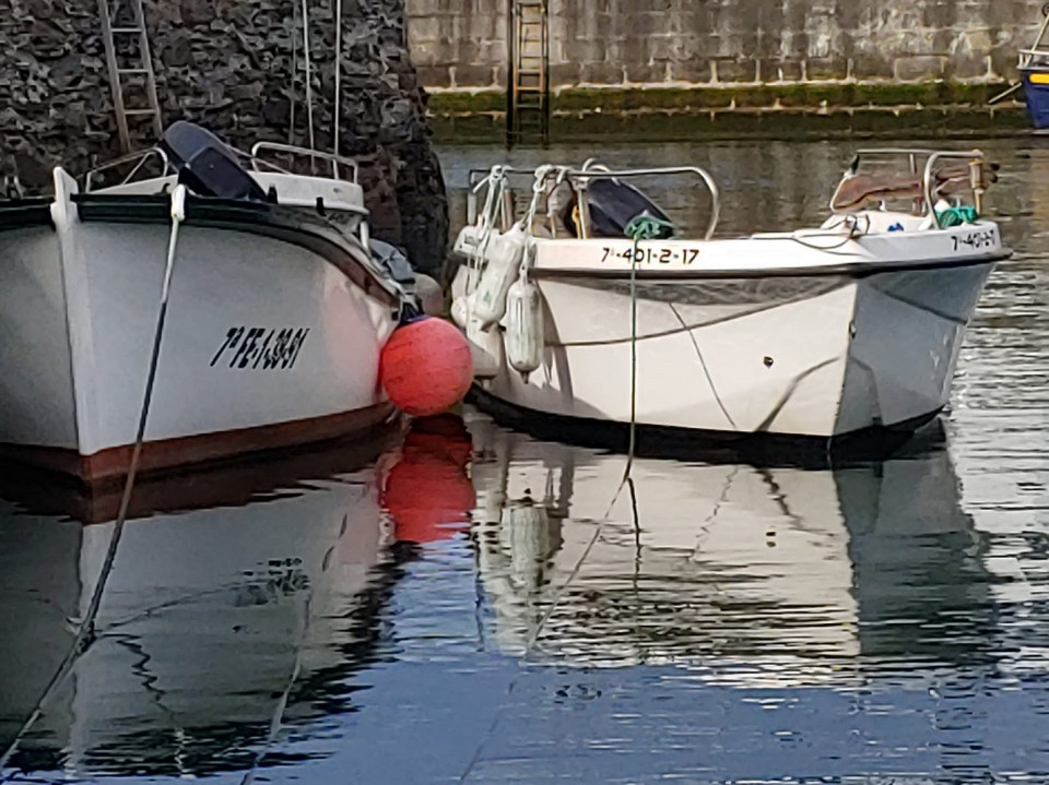 Barcas, en el Puerto de Viavélez (Asturias)