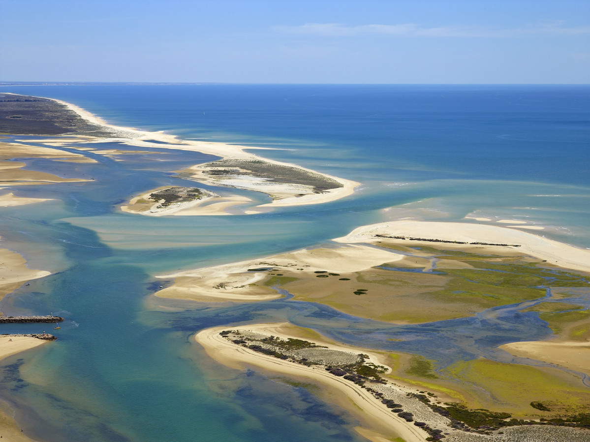 Ria Formosa   Turismo do Algarve