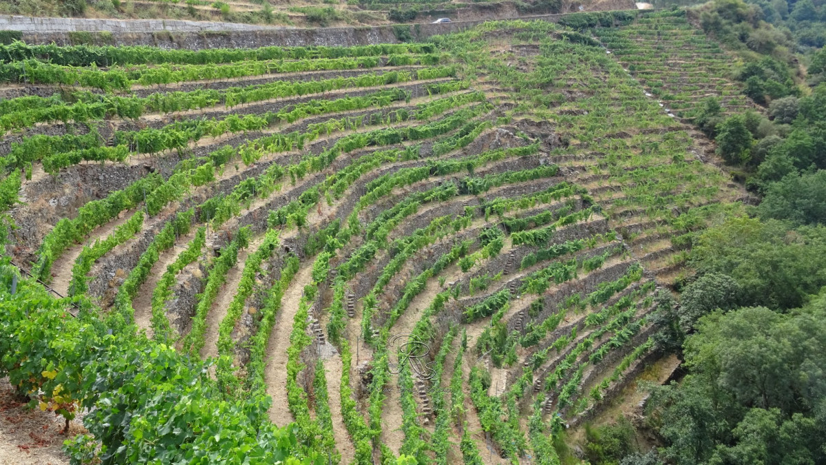 Ribeira Sacra Viu00f1edos Adega Cachin