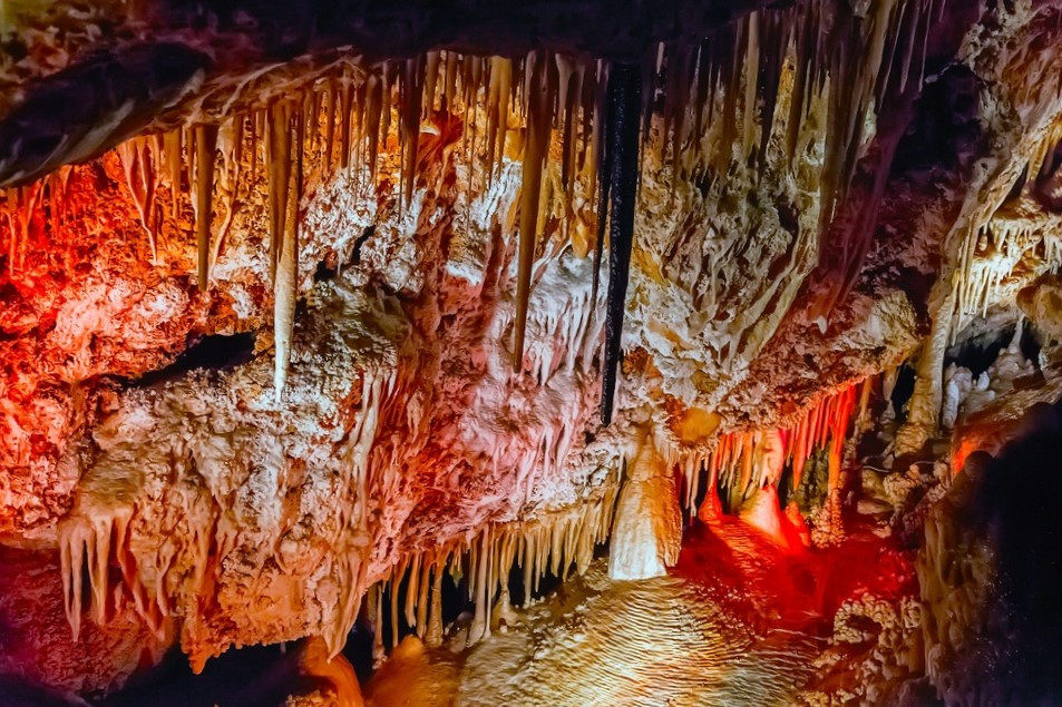 Cuevas de genova palma (2)