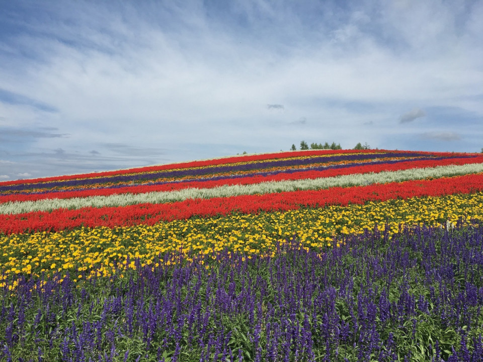 Japón, colinas de la localidad de Hokkaido