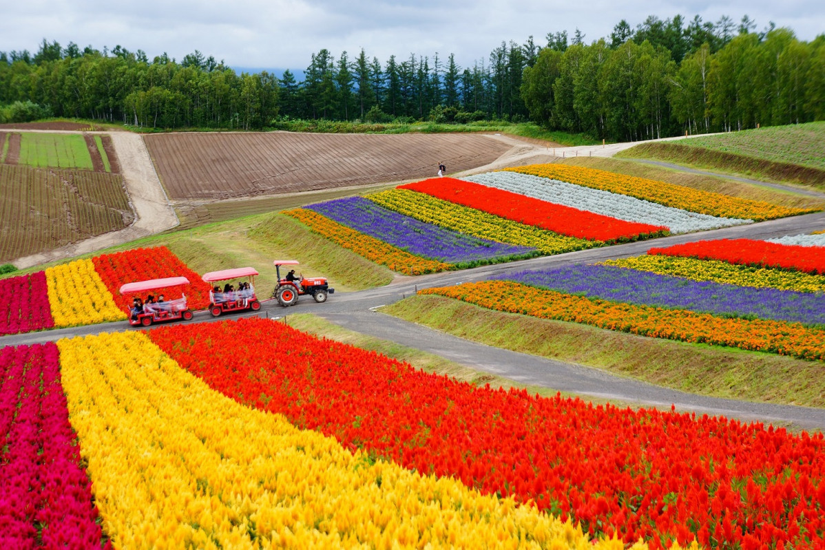 Japu00f3n, recorrido por las colinas de hokkaido