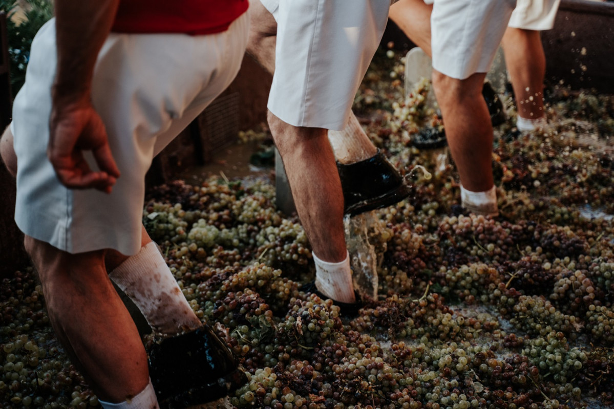 Fiesta de la Vendimia Pisa de la UVA Vinos de Jerez