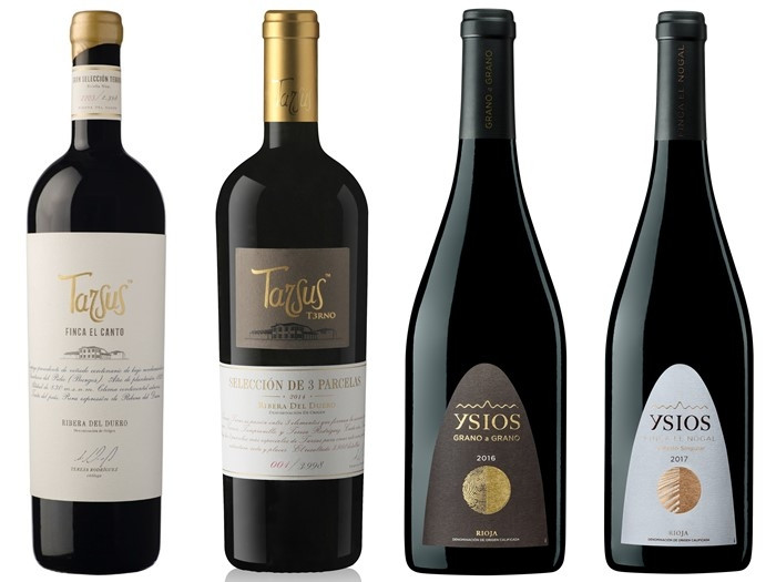 Tarsusvinos