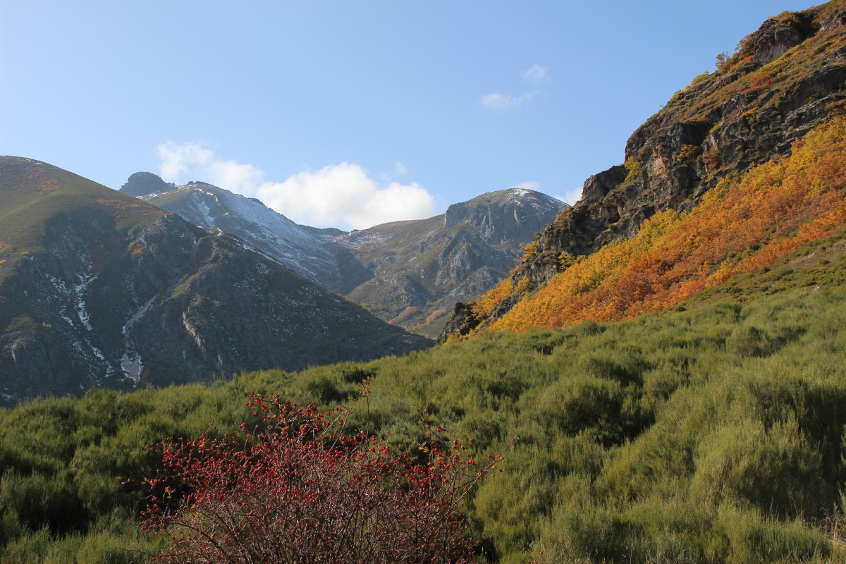 BABIA, paisaje, Leu00f3n